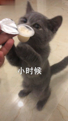 主人:小時候那麼可愛,長大咋變這麼油膩了?貓:歲月是把殺豬刀